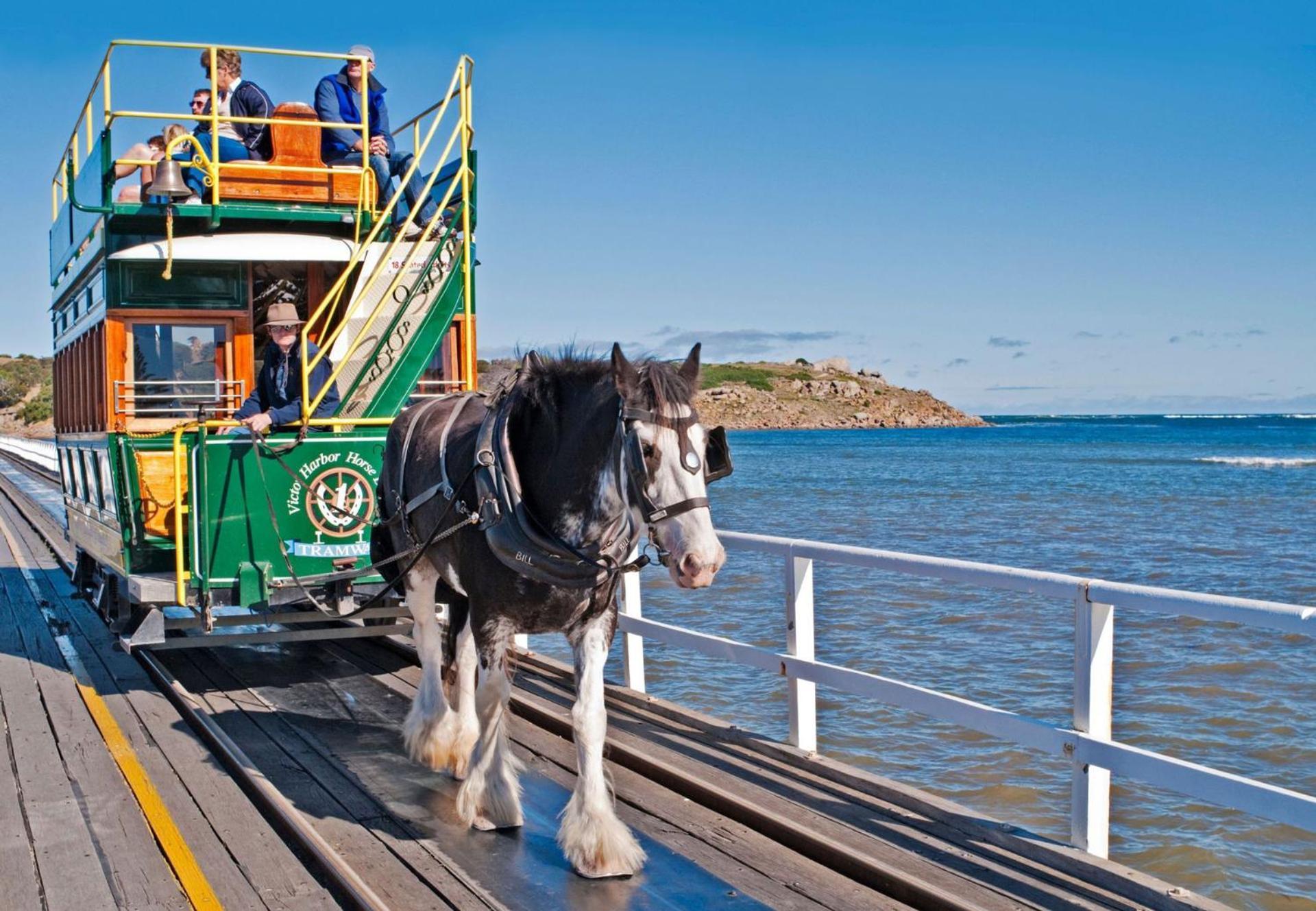 Victor Harbor Holiday Park מראה חיצוני תמונה